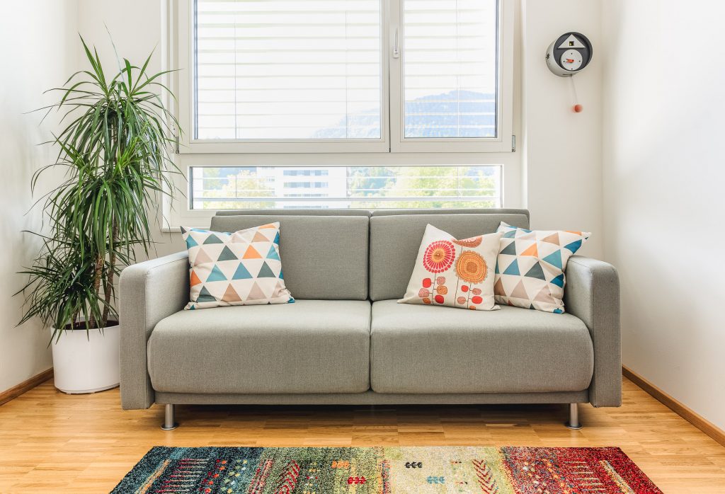 Helles Zimmer mit Couch und Pflanze